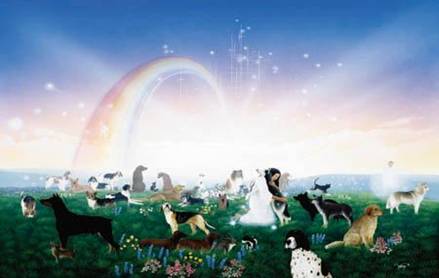 rainbowbridge1.bmp